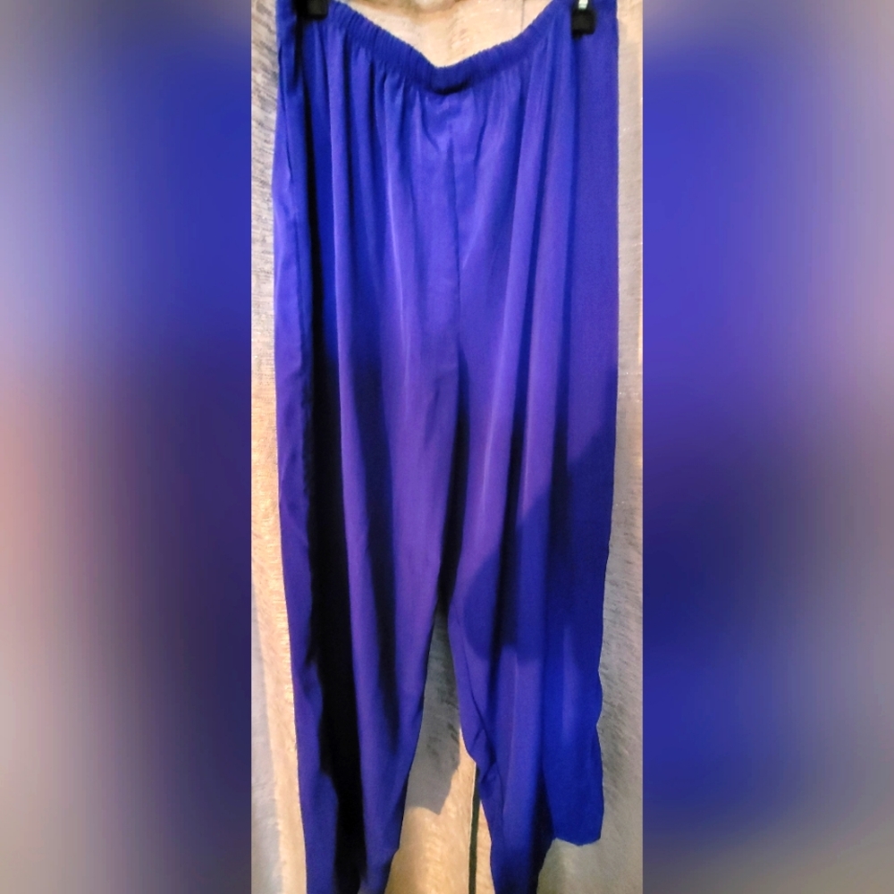 Vintage SG Sport Collection Women's Pull On Pants Purple/Blueish Size L